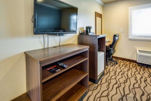 All rooms feature flatscreen TVs at ABVI Richmond